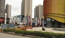 陈乐最新动态爆料,揭秘娱乐圈惊人内幕！